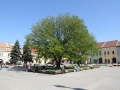 Imagini din orasul Baia Mare | Galerie Foto Romania